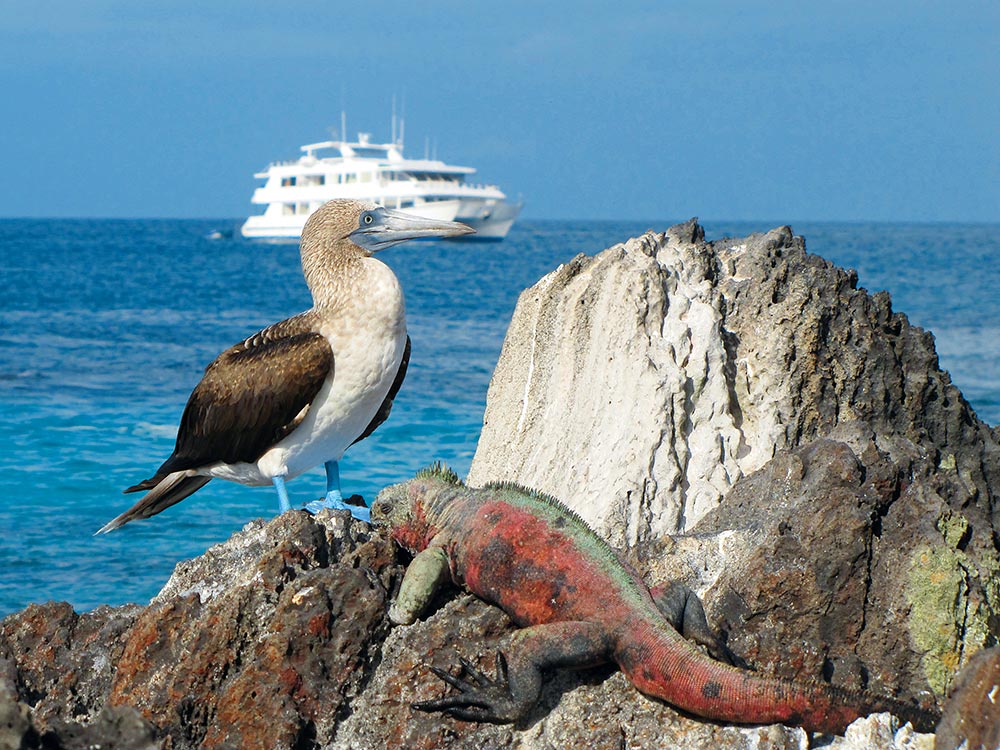 Ecuador & Galapagos