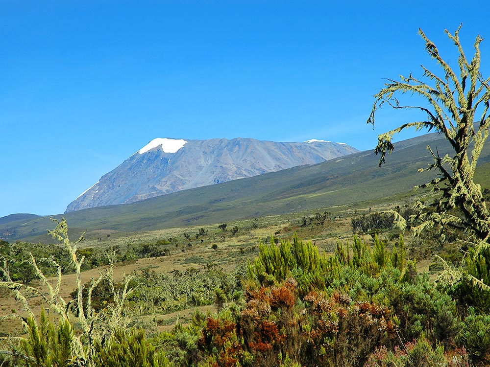 Kilimandscharo Trekking - Gipfel